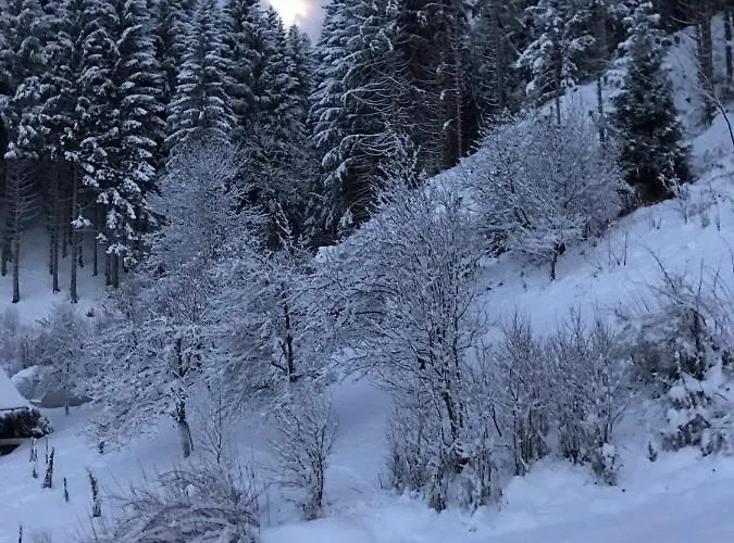 Apartma Vidovic アパート *