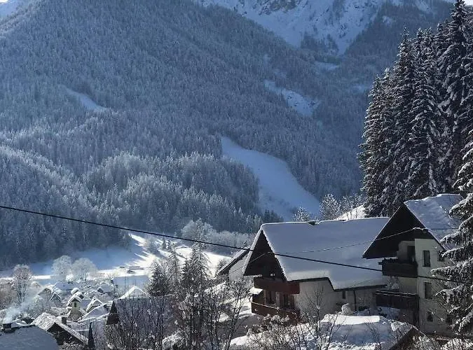 Apartma Vidovic アパート